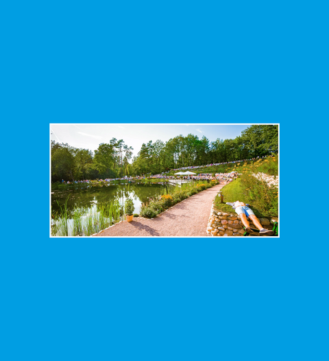 Postkarte Waldsee Musikalische Entspannung - SamMarket