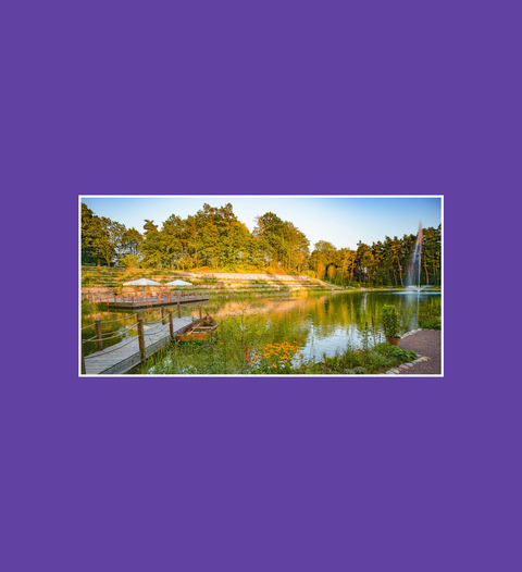 Postkarte Waldsee Impressionen 1 - SamMarket