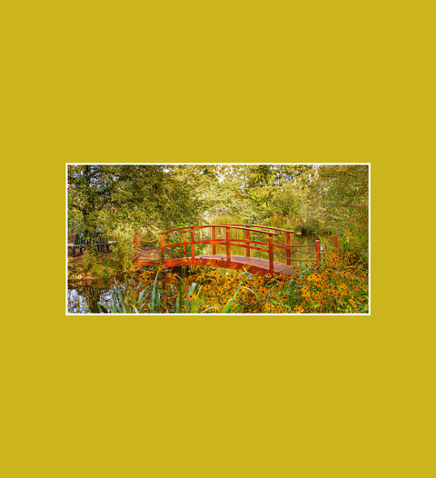 Postkarte Campusgarten Großer Teich 3 - SamMarket
