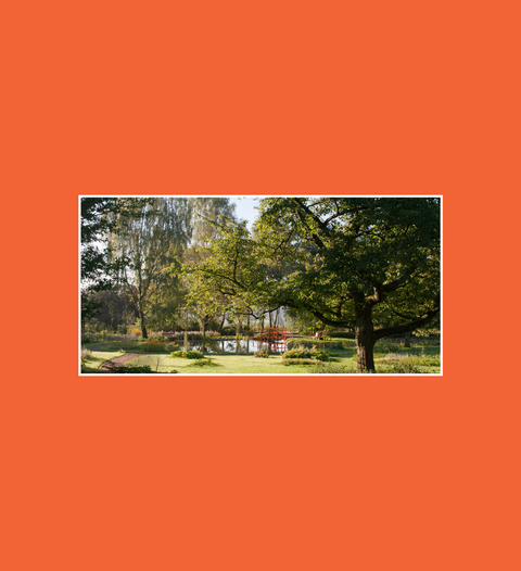 Postkarte Campusgarten mit großen Teich, Insel und Brücke - SamMarket