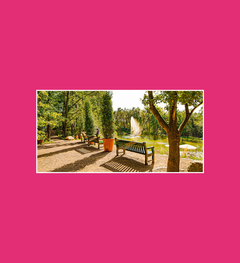 Postkarte Waldsee Obere Terrasse 2 - SamMarket