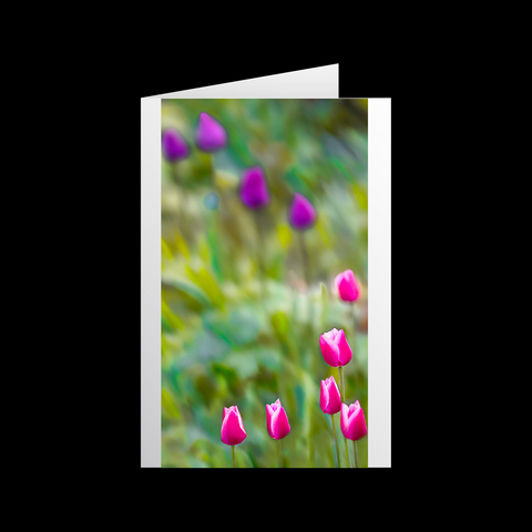 Tulipa Bewegung 2 Grußkarten - SamMarket