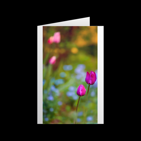 Tulipa Bewegung 4 Grußkarten - SamMarket