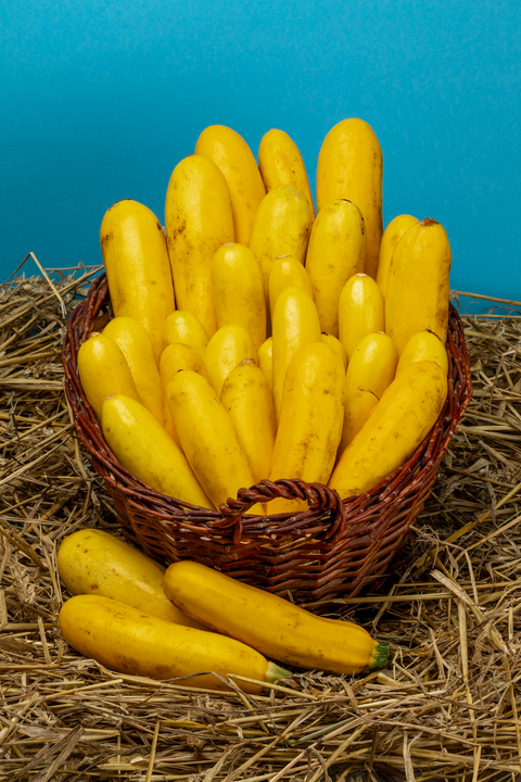 Bio Zucchini Gelb, 1 Kg - SamMarket