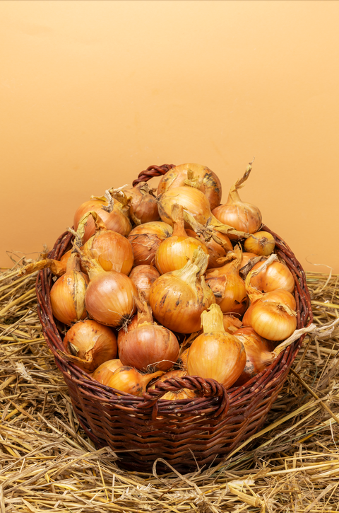 Bio Zwiebeln Gelb, 1 Kg - SamMarket