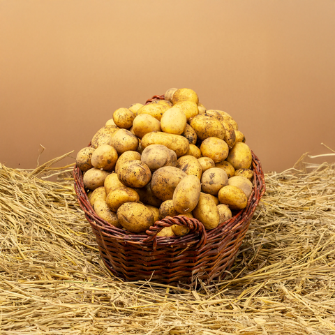 Bio Kartoffel Belana, 1 Kg - SamMarket