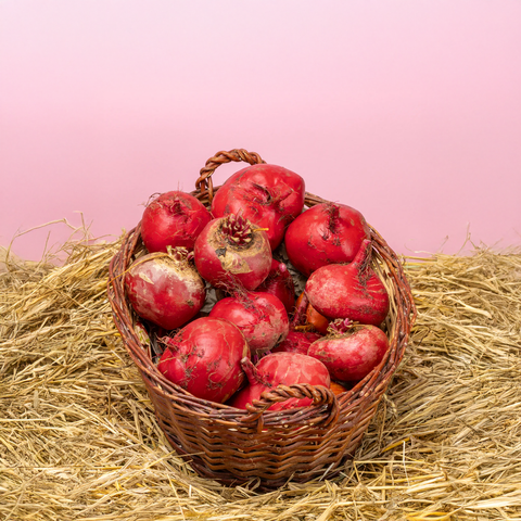 Bio Rote Bete ‚Tondo di Chioggia’, 1 kg - SamMarket