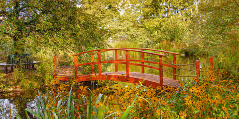 Postkarte Campusgarten Großer Teich 3