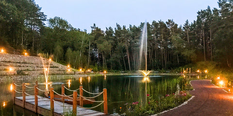 Postkarte Waldsee am Abend 1