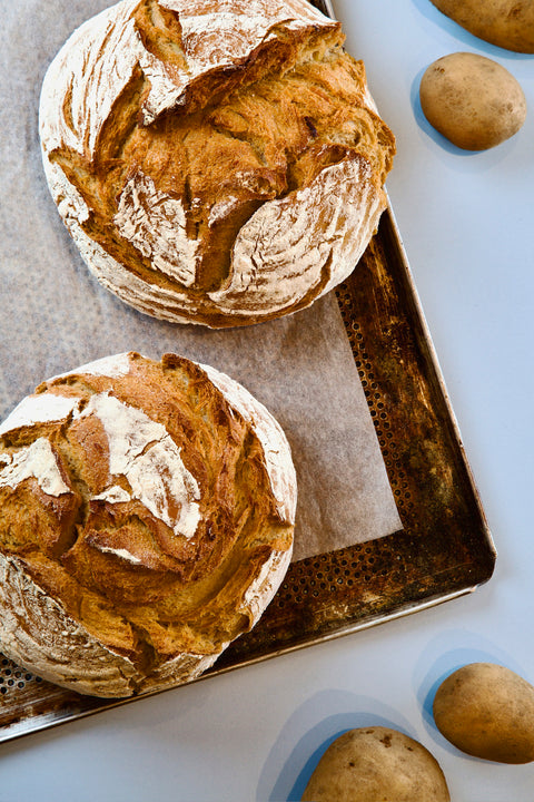 Schwäbisches Kartoffelbrot - SamMarket