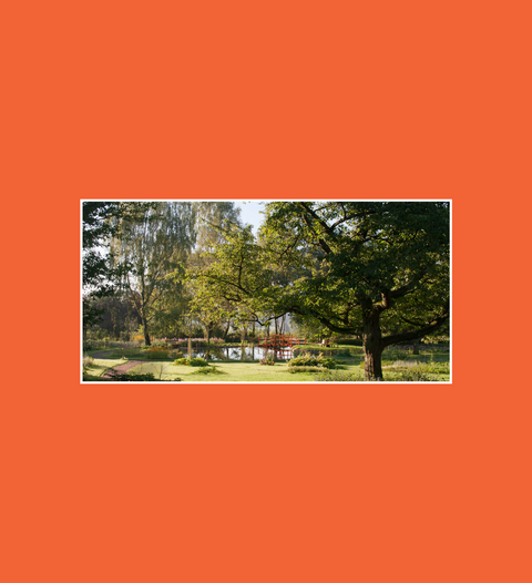 Postkarte Campusgarten mit großen Teich, Insel und Brücke