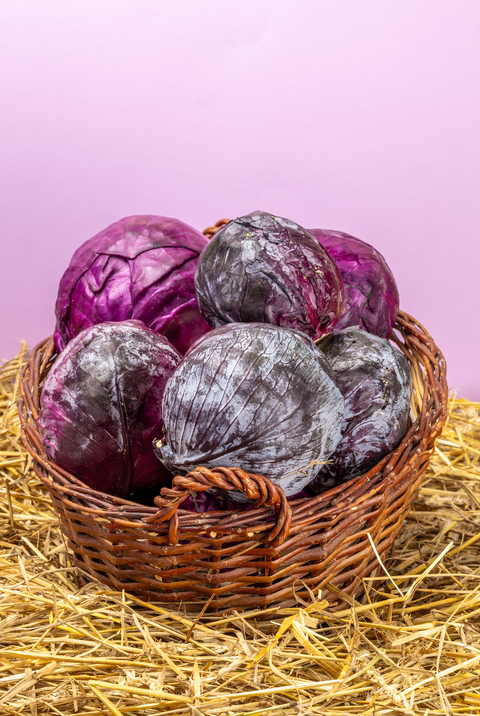 Bio Rotkohl, 1 kg