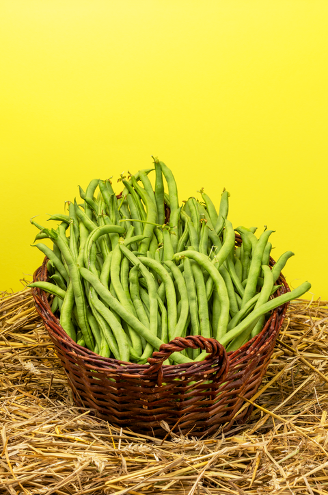 Bio Stangenbohne Neckarkönigin, 1 kg - SamMarket