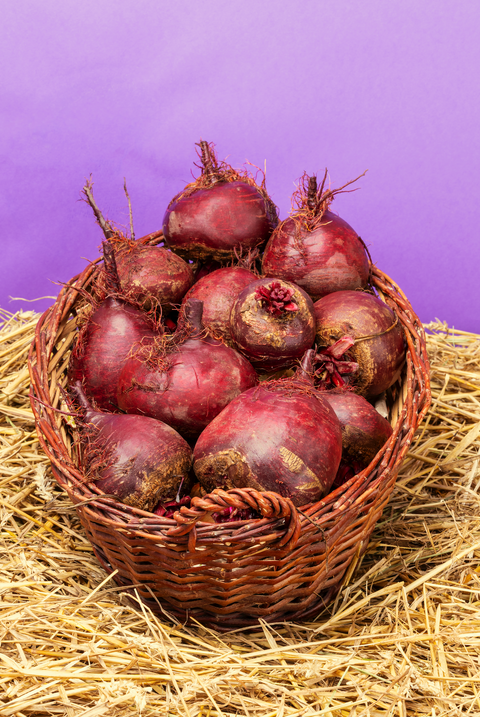 Rote Bete ‚Robuschka‘, 1 kg