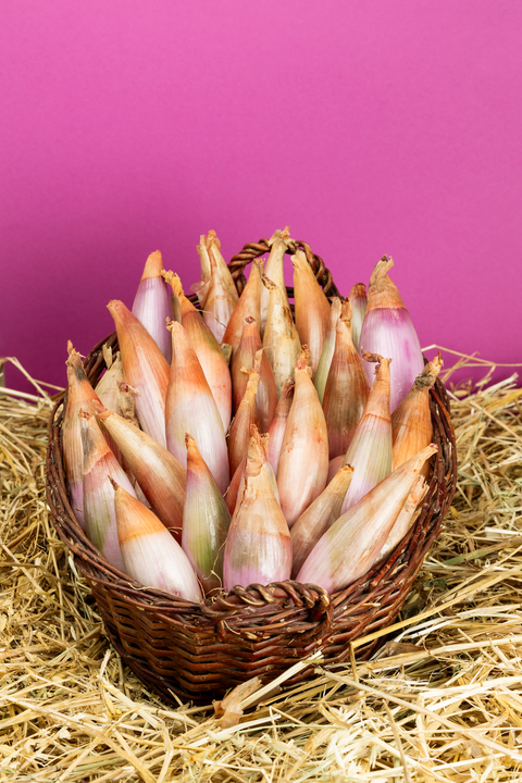 Bio Zwiebeln Cuisse de Poulet, 1 Kg.