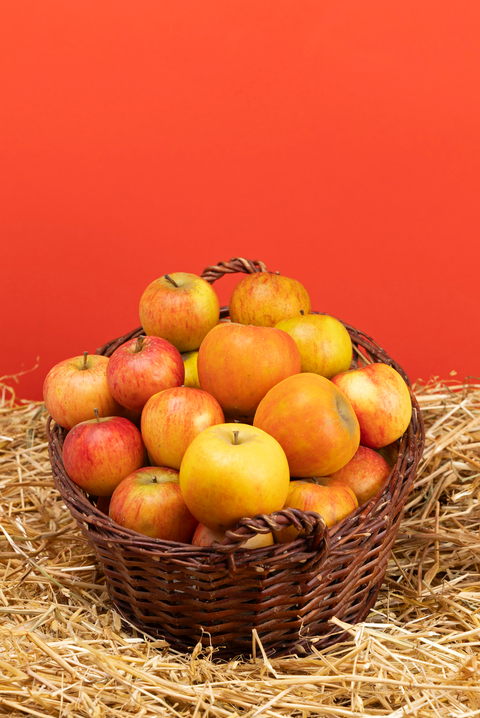 Bio Apple Cox Orange, 1 Kg - SamMarket