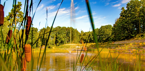 Postkarte Waldsee Impressionen 6