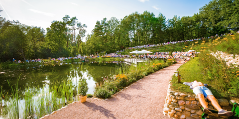 Postkarte Waldsee Musikalische Entspannung