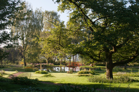 Postkarte Campusgarten mit großen Teich, Insel und Brücke