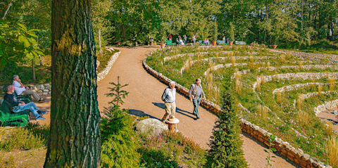 Postkarte Waldsee Wege 21