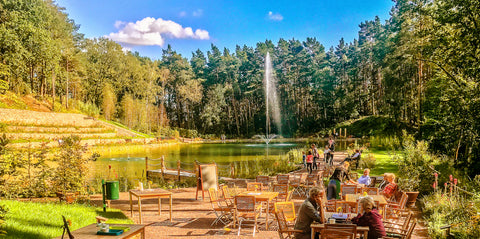 Postkarte Waldsee mit kleinem Café