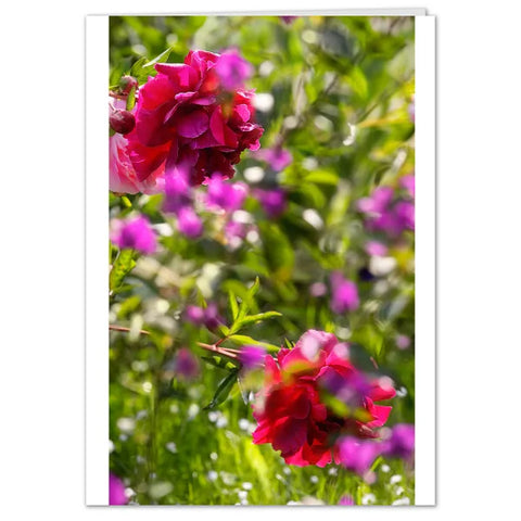 Tulipa Pfingstrose Grußkarten - SamMarket